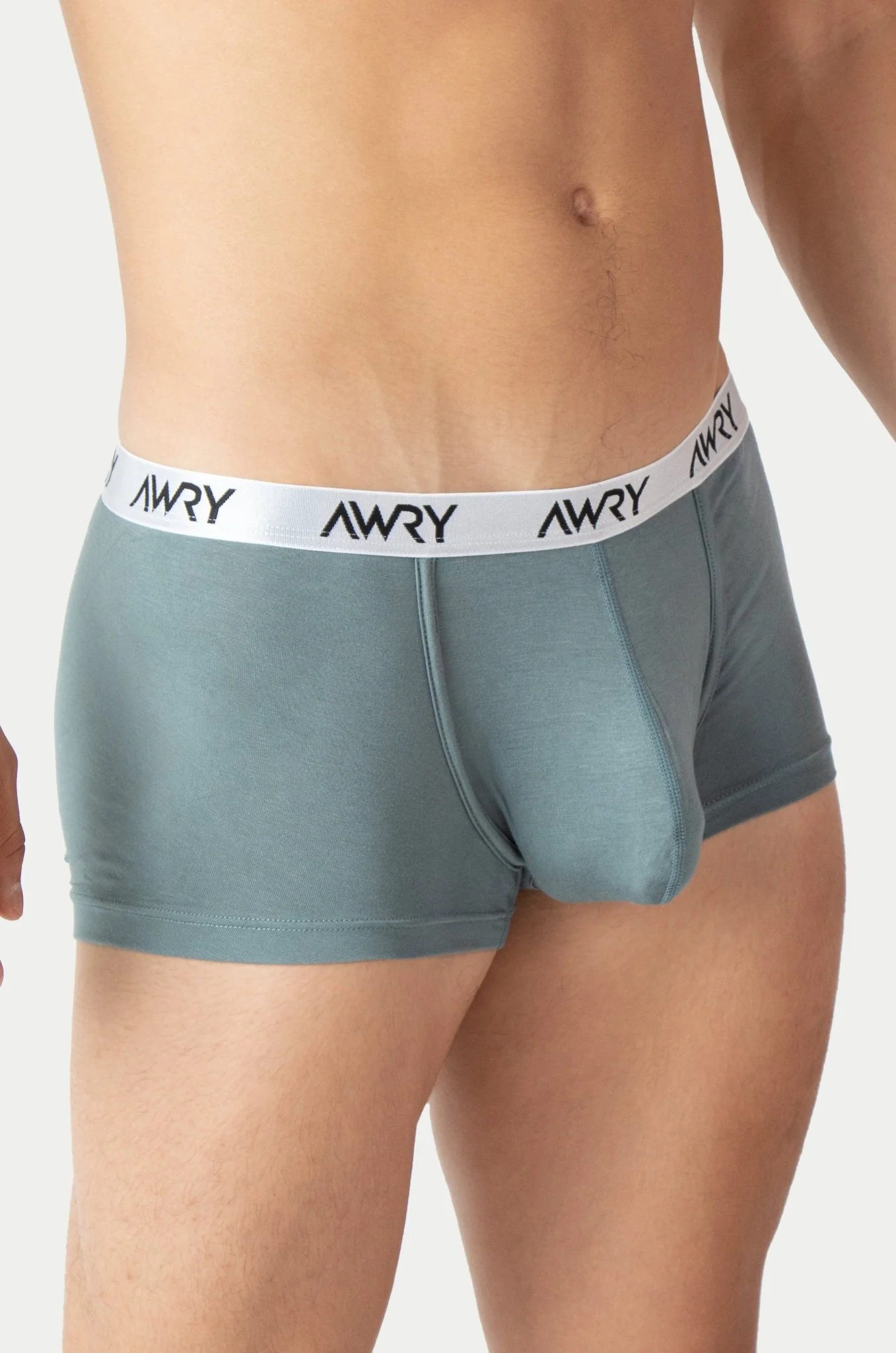 SIGNATURE Trunks - Sage - Image 6
